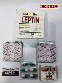 كبسولات ليبتين للتخسيس leptin herbal kings  3