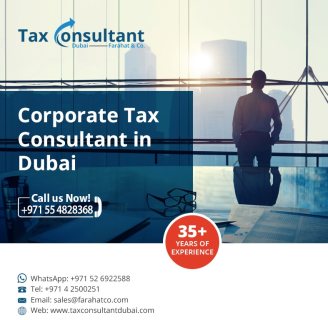 هل تحتاج إلى مستشار ضريبي في دبي؟
