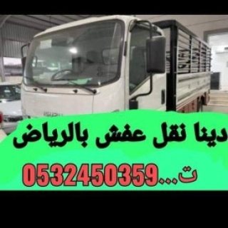 دينا طش الاثاث بالرياض  1