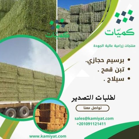 برسيم حجازي مصري 00201159898999 2