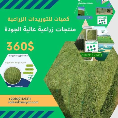 برسيم حجازي مصري 00201159898999 4
