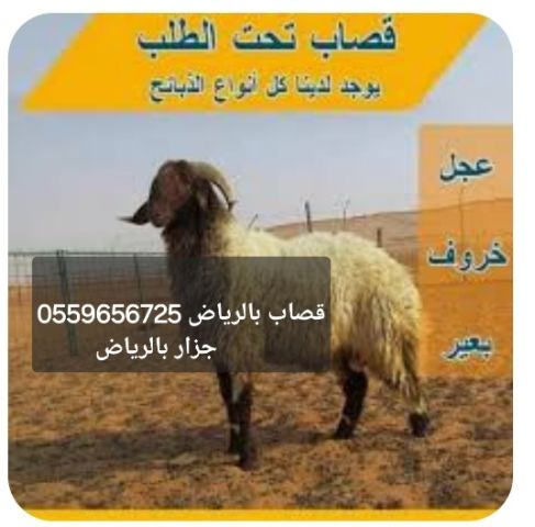 قـصـاب بـالـريـاض 0559656725 جـزار مـاهـر بـالـريـاض سـودانـي 2