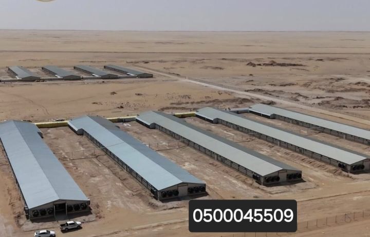  بناء حظائر الدواجن