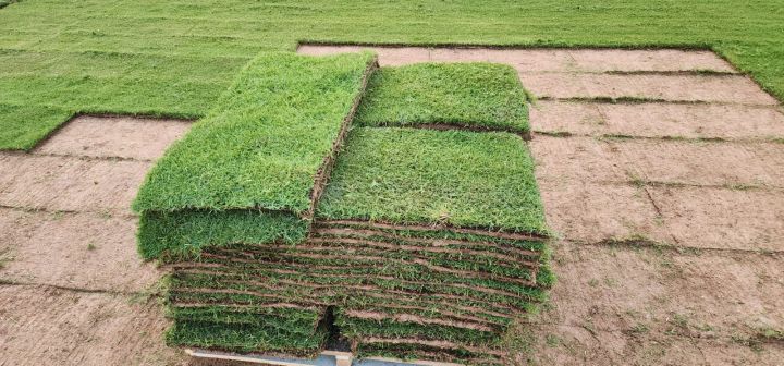 توريد ثيل طبيعي سي الفين  4