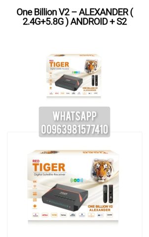 Tiger One Billion V2 Alexander 3