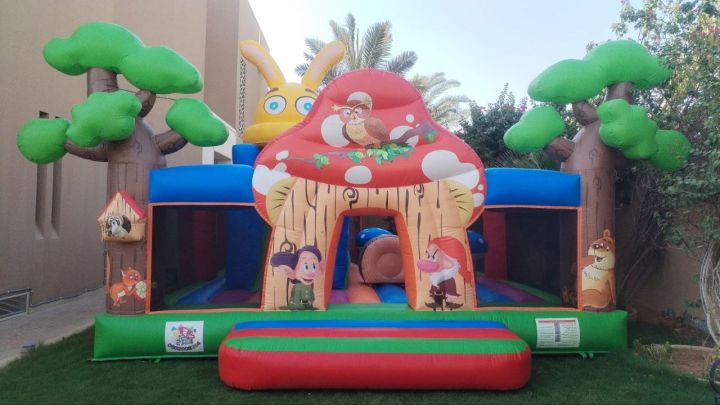 للايجار نطيطات هوائية وزحاليق مائية  7