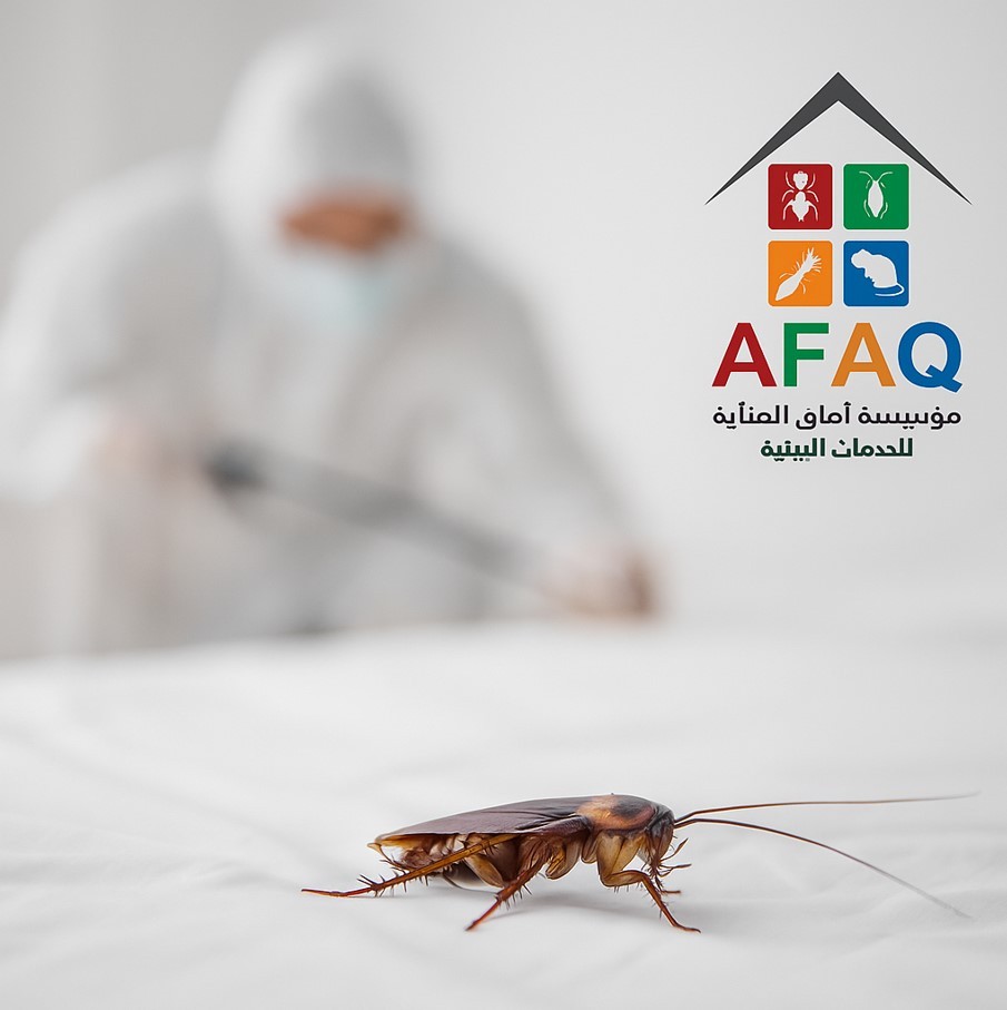 مكافحة حشرات مكة المكرمة جدة الطائف