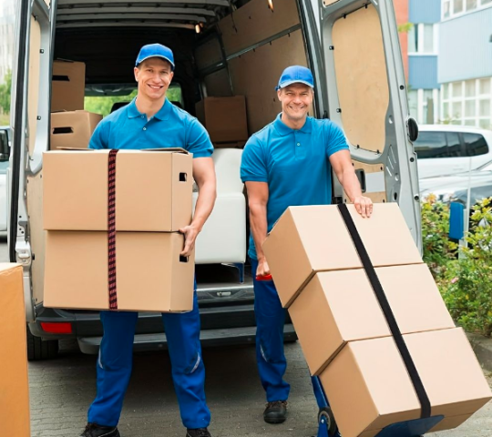 Storage Dubai Best Storage Company In Dubai UAE