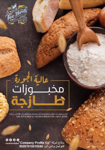 قصر الشركات – أفضل شركة تصميم بروفايل شركات في العالم العربي 8