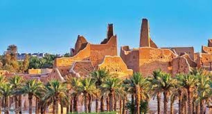 سكليف معتمد ومضمون بسعر خرافي 