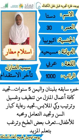 عاملات منزلية 3