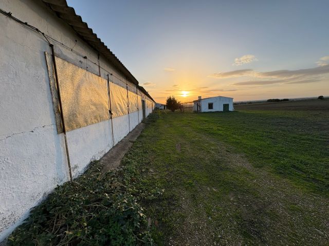 استثمار مزارع للبيع في اسبانيا 2