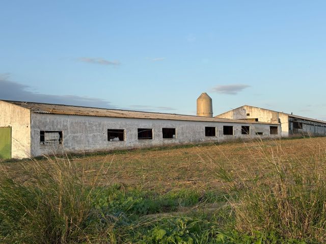 استثمار مزارع للبيع في اسبانيا 3