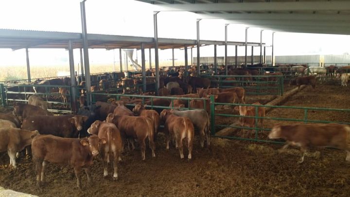 استثمار مزارع للبيع في اسبانيا 5