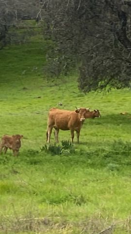 استثمار مزارع للبيع في اسبانيا 6