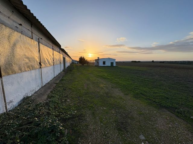 استثمار مزارع للبيع في اسبانيا 9