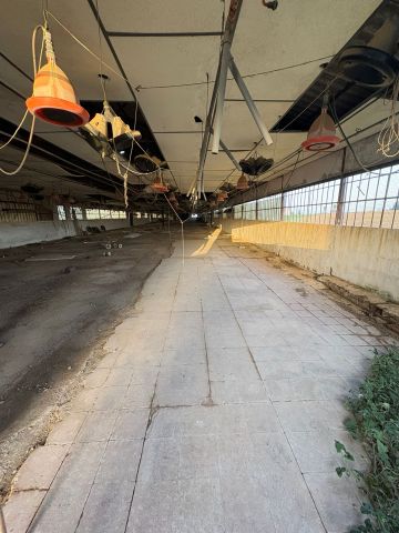 استثمار مزارع للبيع في اسبانيا 10