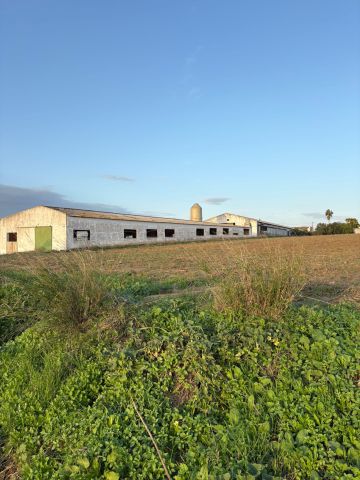 استثمارات مزارع واراضي للبيع في اسبانيا 6