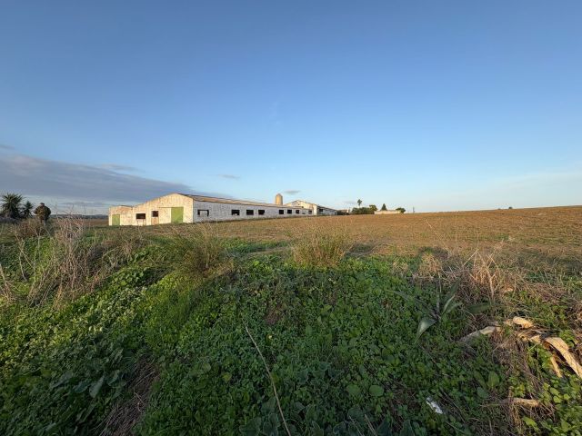 استثمارات مزارع واراضي للبيع في اسبانيا 7