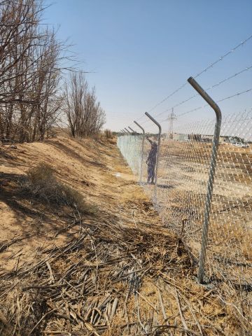 مقاول شبك سياج