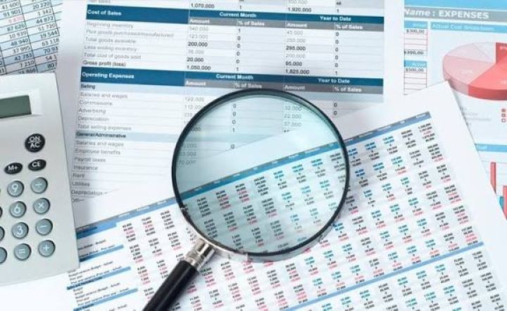 مدير مراجعه او مراجع خارجي