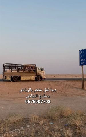 دينا نقل عفش بالرياض 0575907703