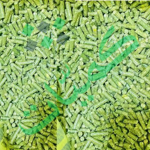 برسيم حجازي أمريكي من شركة كميات السعودية 5