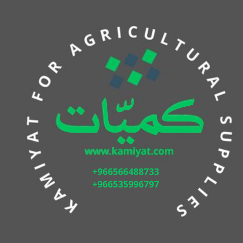 برسيم حجازي من شركة كميات مصر والسعودية 5