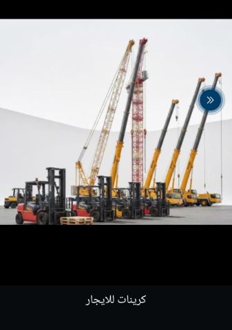 كرينات للإيجار 6