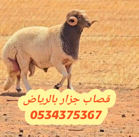 قصاب بالرياض 0534375367