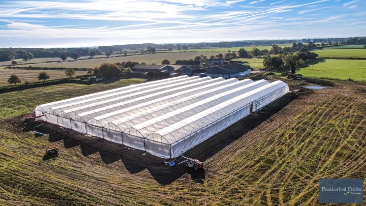 استشاري الزراعة الحديثة والهيدروبونيك – عرض خدمات استشارية 4