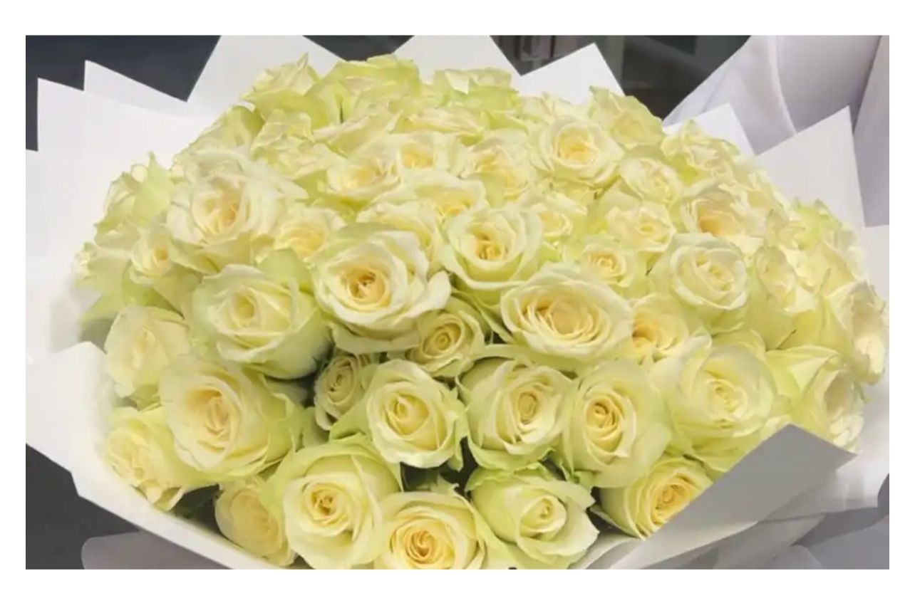 قهوجية في جدة مناسبات جدة حفلات جدة مباشرين محترفين. في جدة  10