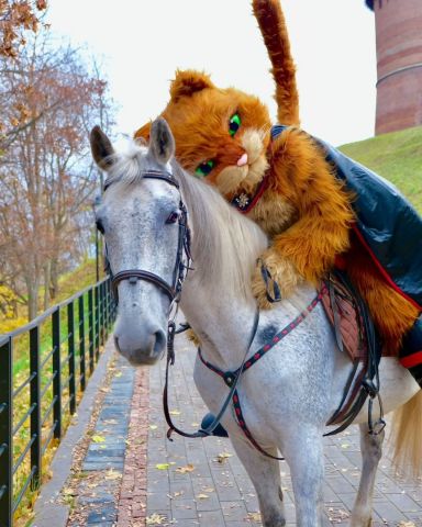 #شخصية كرتونية 8