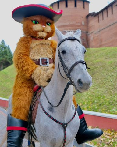 #شخصية كرتونية 9