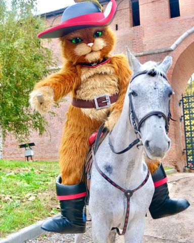 #شخصية كرتونية 10