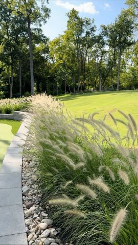 نباتات الزينة الخارجية من موطن النباتات 8