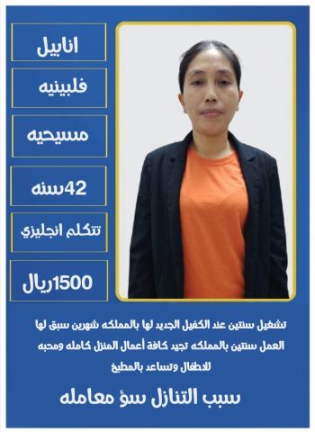 عاملات منزلية  2