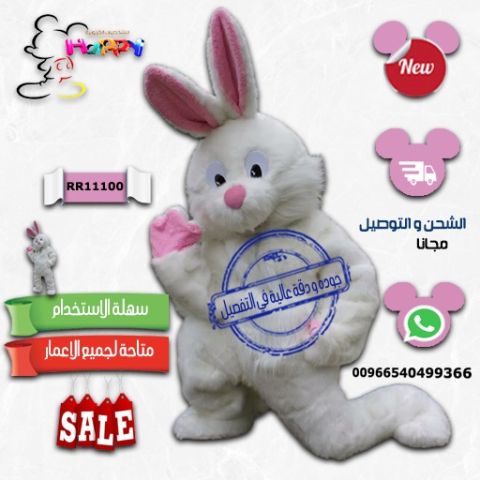 #شخصية كرتونية 2