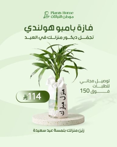 هدايا نباتات العيد من موطن النباتات