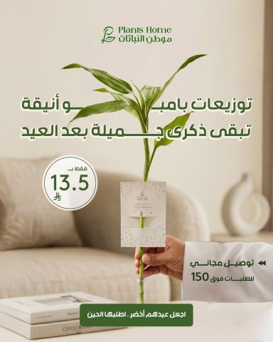 هدايا نباتات العيد من موطن النباتات 5