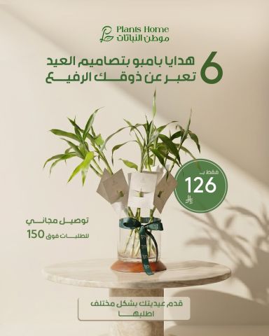 هدايا نباتات العيد من موطن النباتات 6