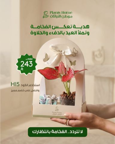 هدايا نباتات العيد من موطن النباتات 7