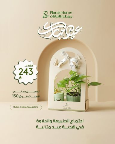 هدايا نباتات العيد من موطن النباتات 8