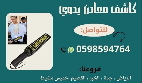 أفضل كاشف المعادن اليدوي Handheld Scanner