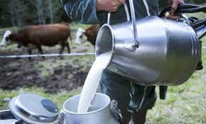 فرصة استثمارية على المدى القصير في مشروع تربية المواشي وإنتاج الحليب في تركيا 4